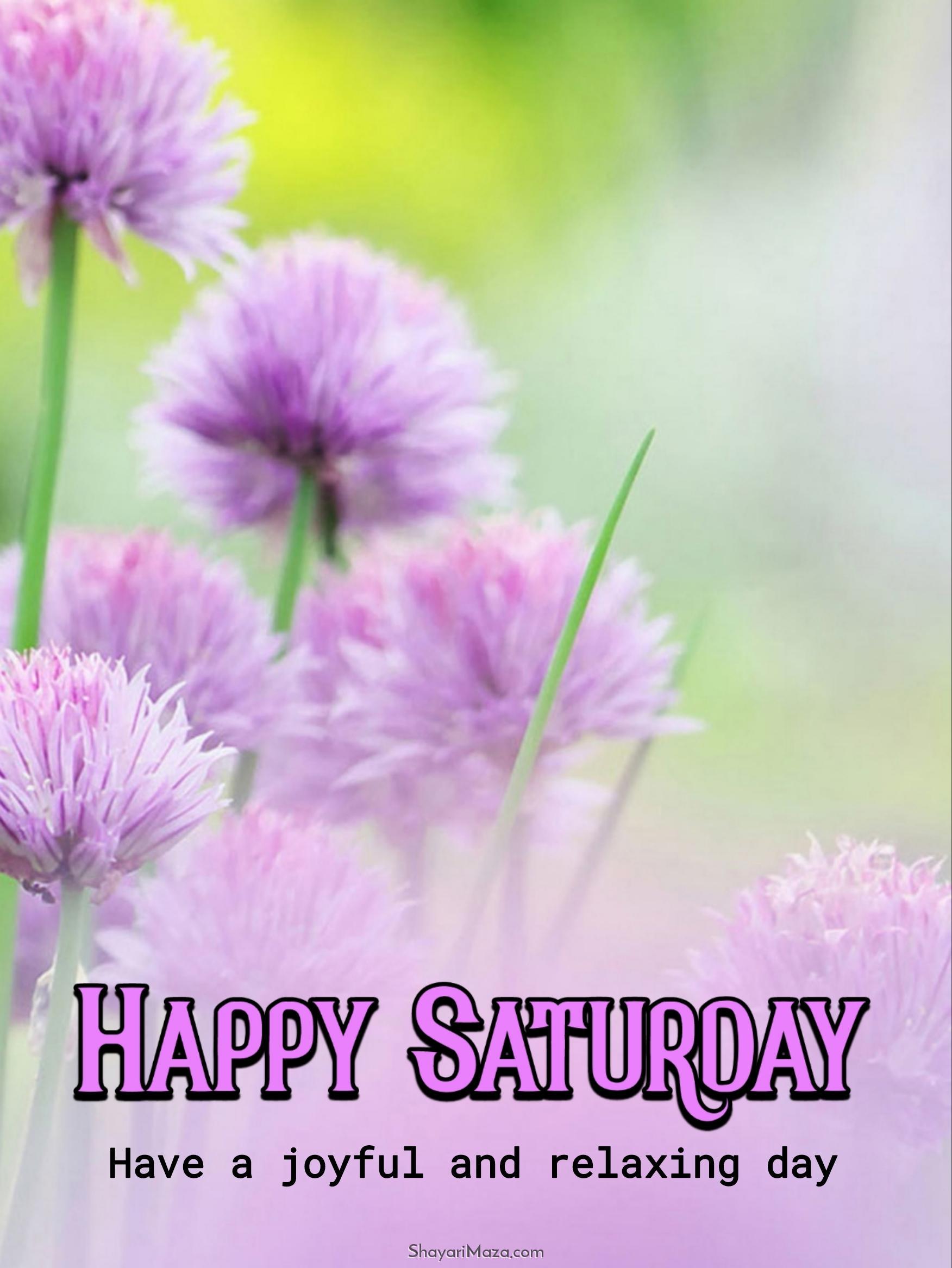 Happy Saturday Have A Joyful And Relaxing Day Images