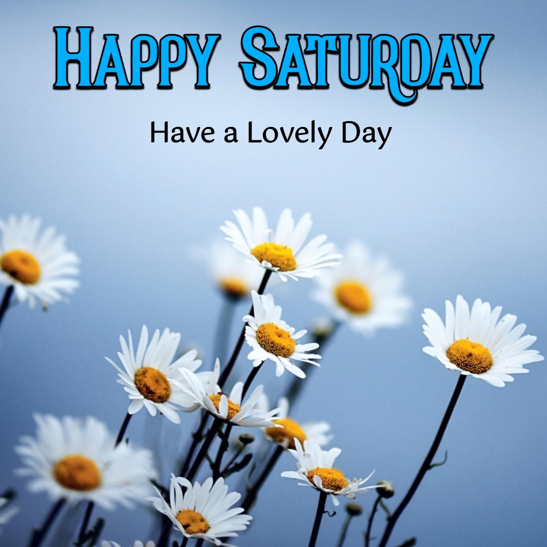 Happy Saturday Have A Lovely Day Images