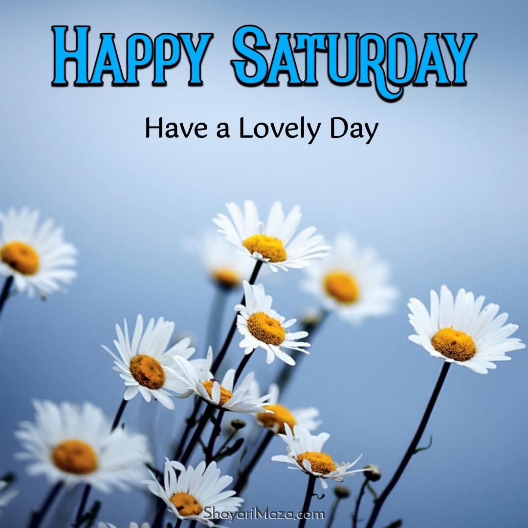 Happy Saturday Have A Lovely Day Images