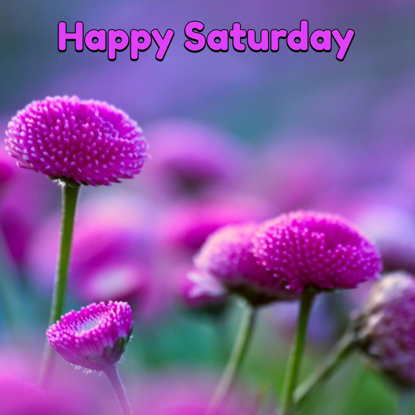 Happy Saturday Images 2022 HD Download