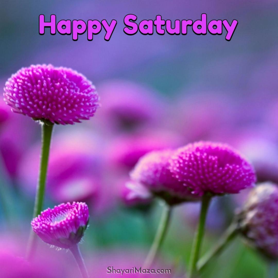 Happy Saturday Images 2022 HD Download