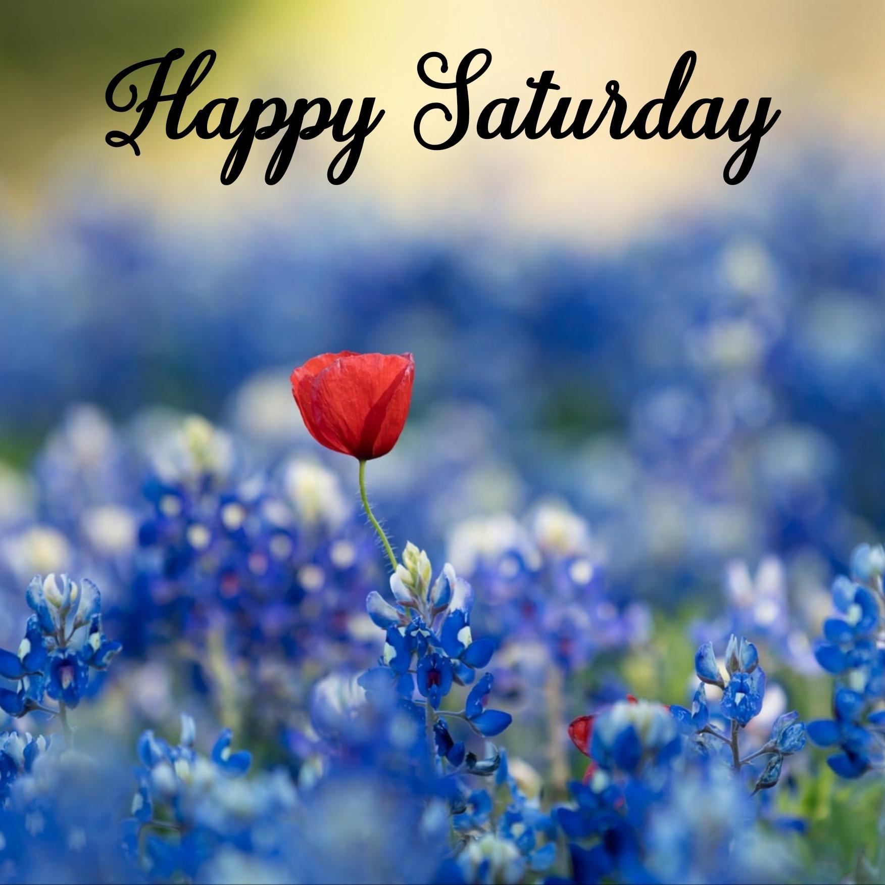 Happy Saturday Images for Whatsapp