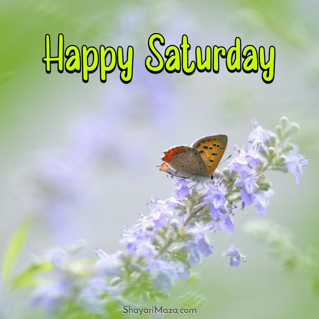 Happy Saturday Photo 2022 HD Download