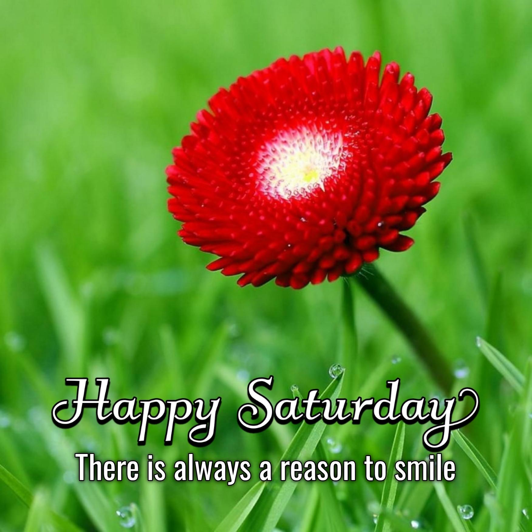 Happy Saturday There Is Always A Reason To Smile Images