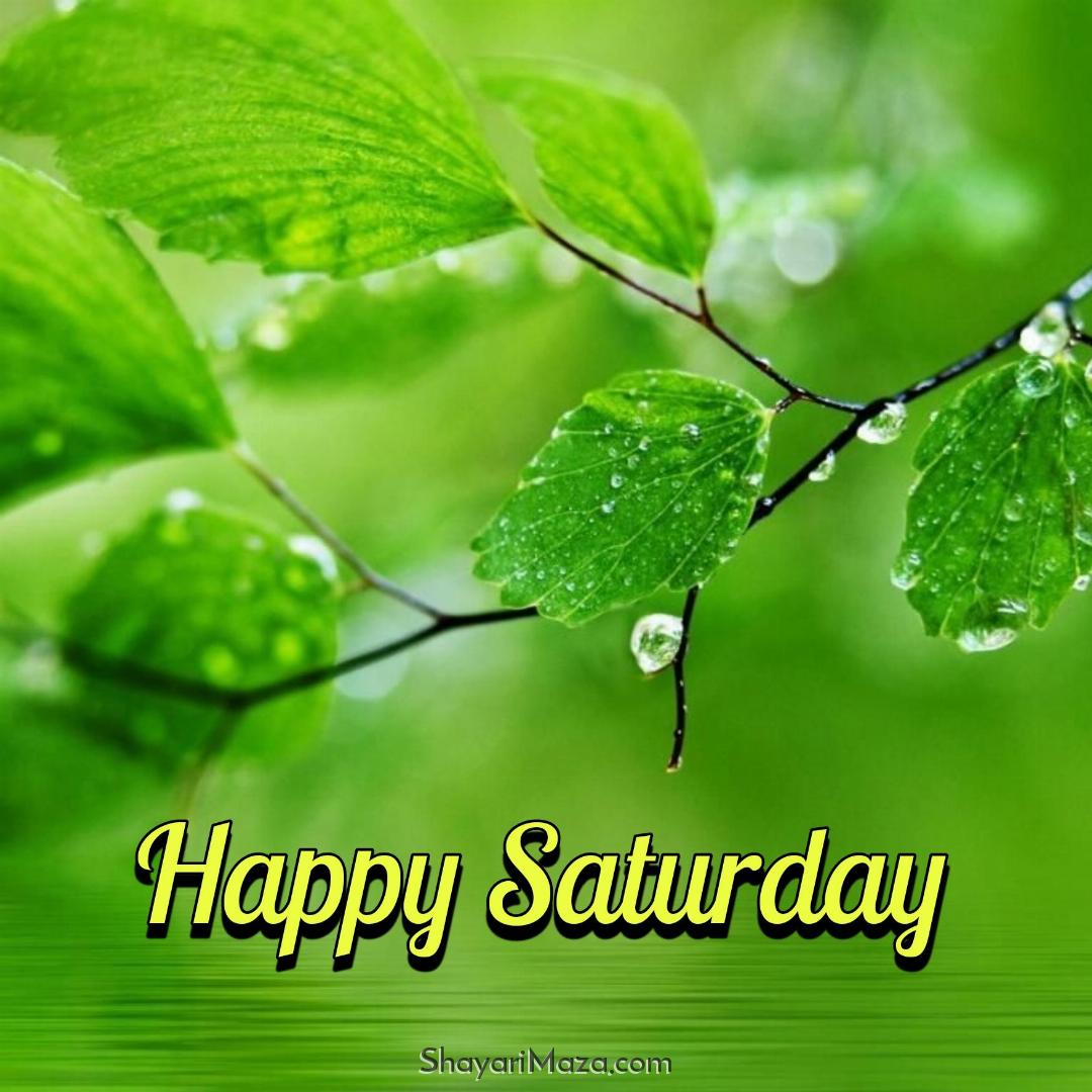 Happy Saturday Wishing Images