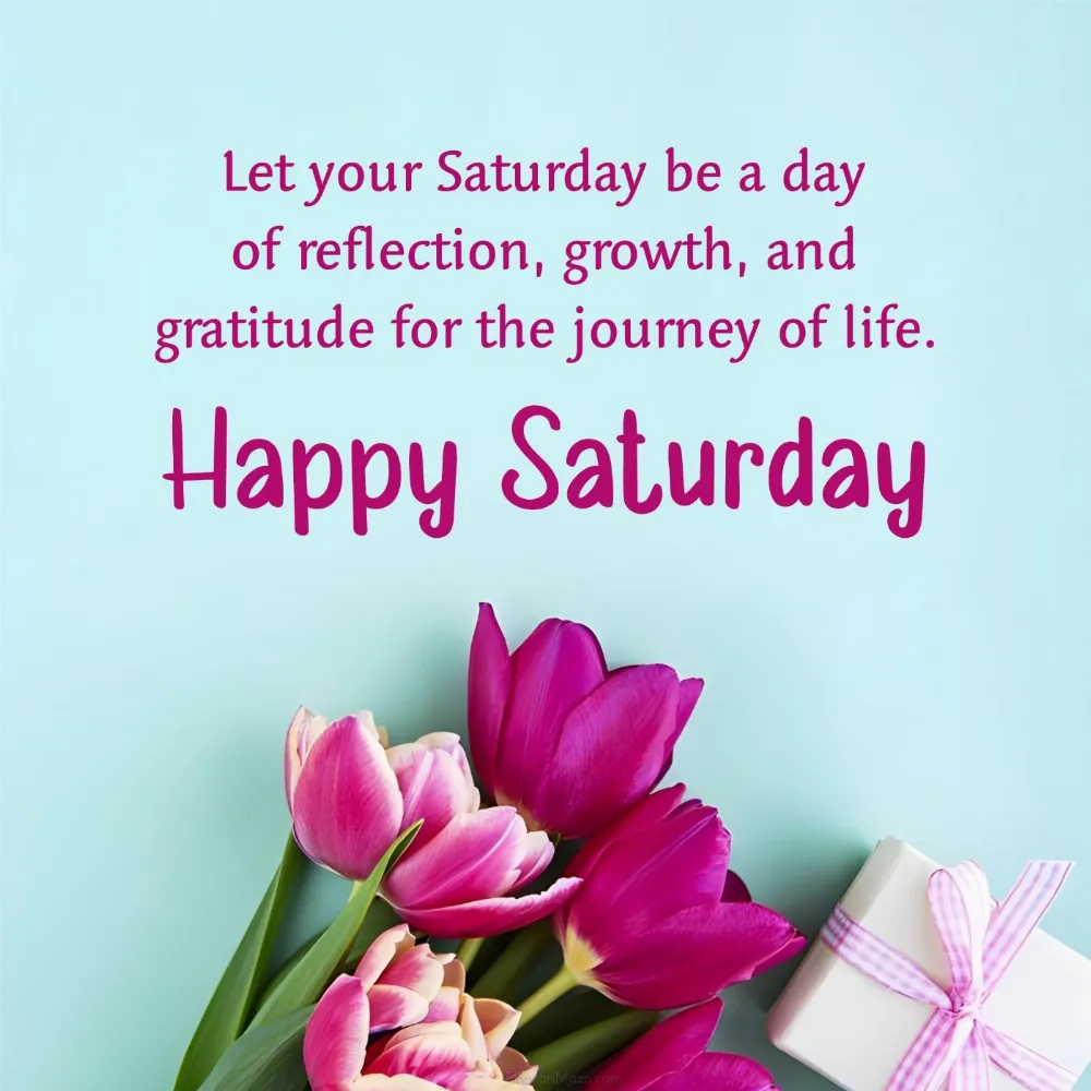 Let your Saturday be a day of reflection growth and gratitude