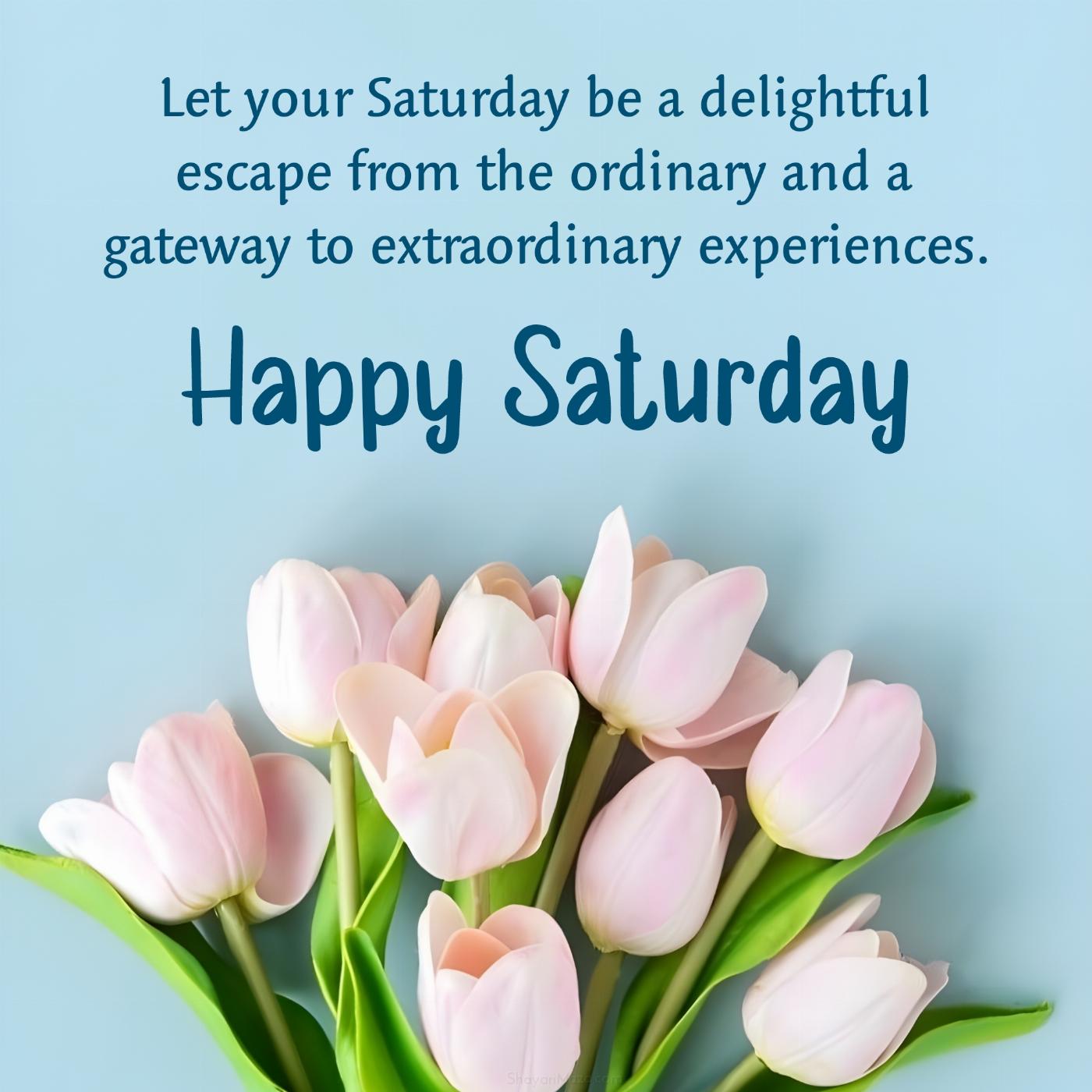 Let your Saturday be a delightful escape from the ordinary
