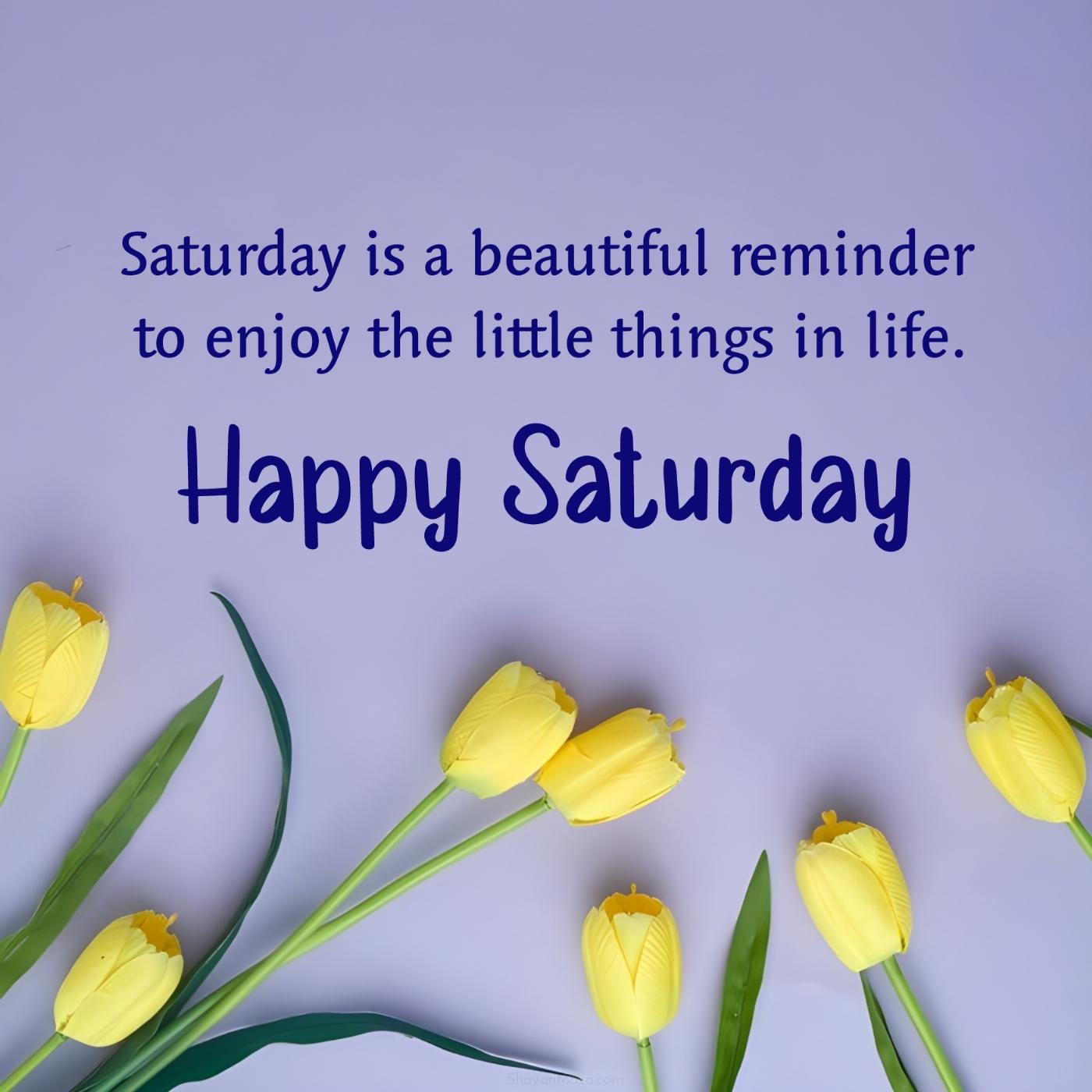 Saturday is a beautiful reminder to enjoy the little things