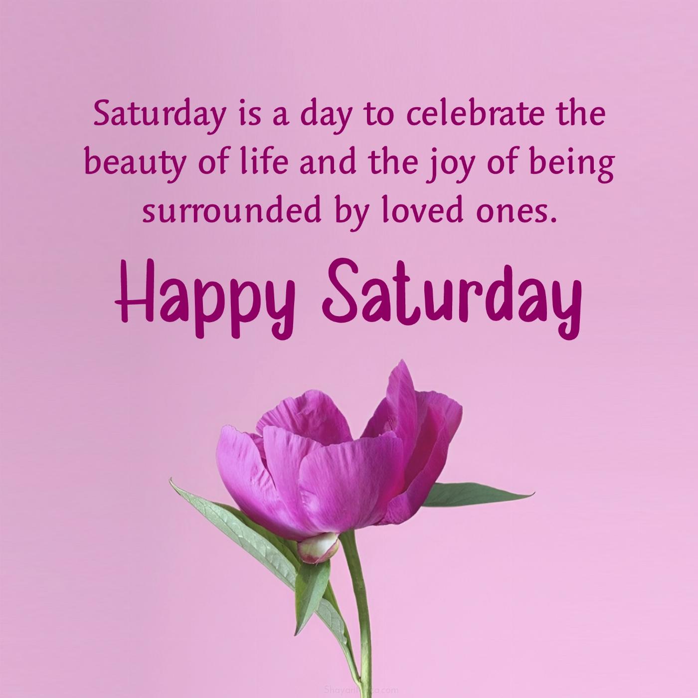 Saturday is a day to celebrate the beauty of life