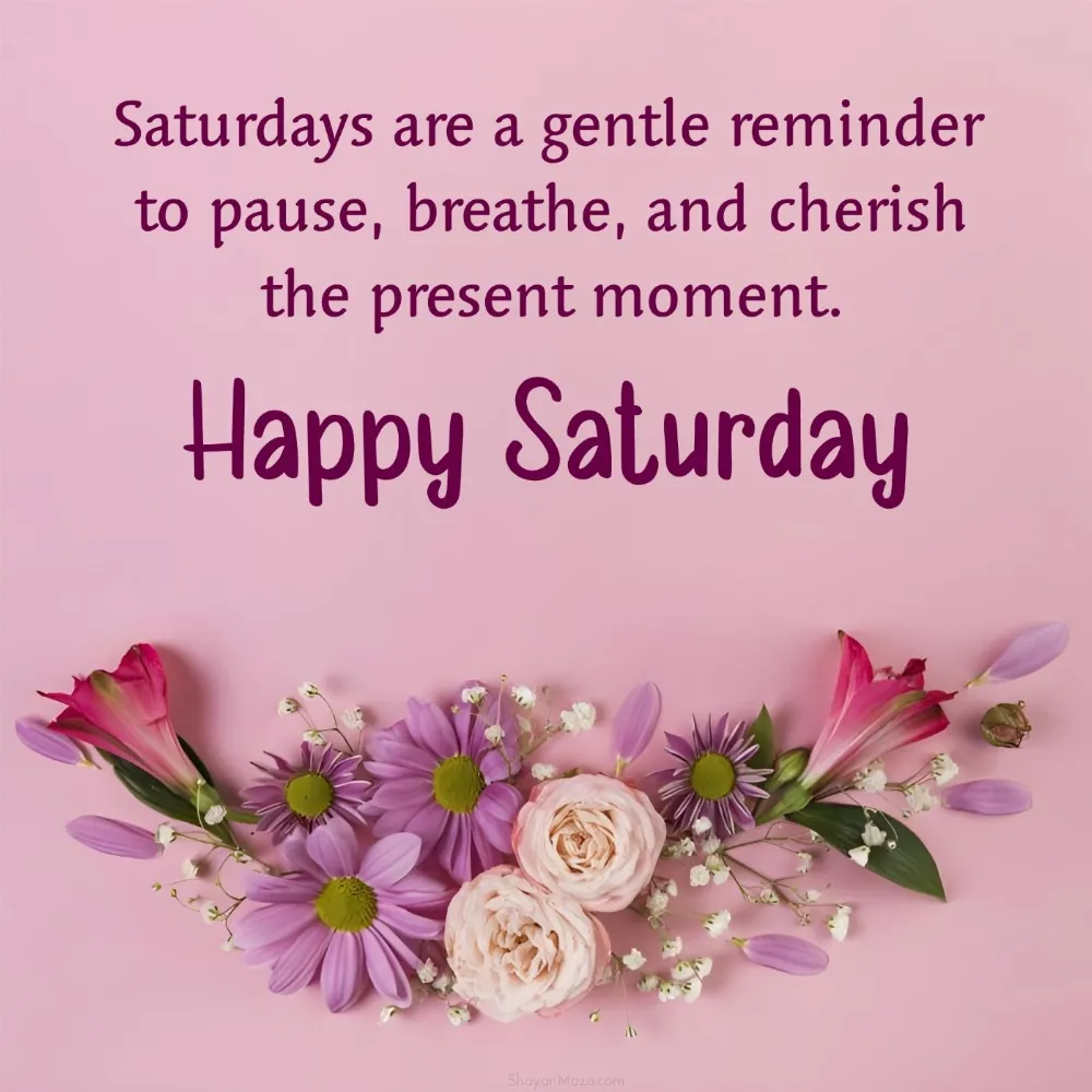 Saturdays are a gentle reminder to pause breathe and cherish