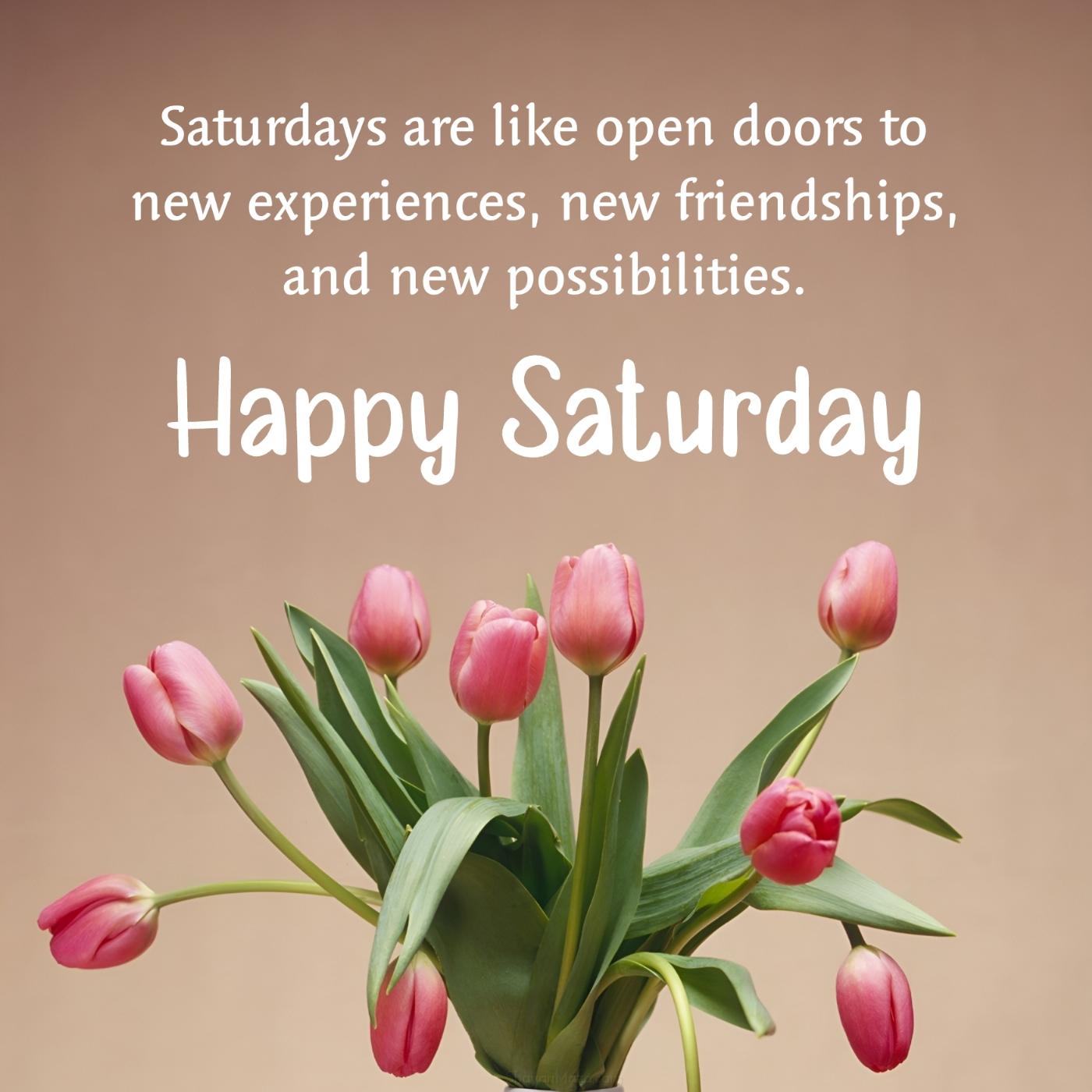 Saturdays are like open doors to new experiences