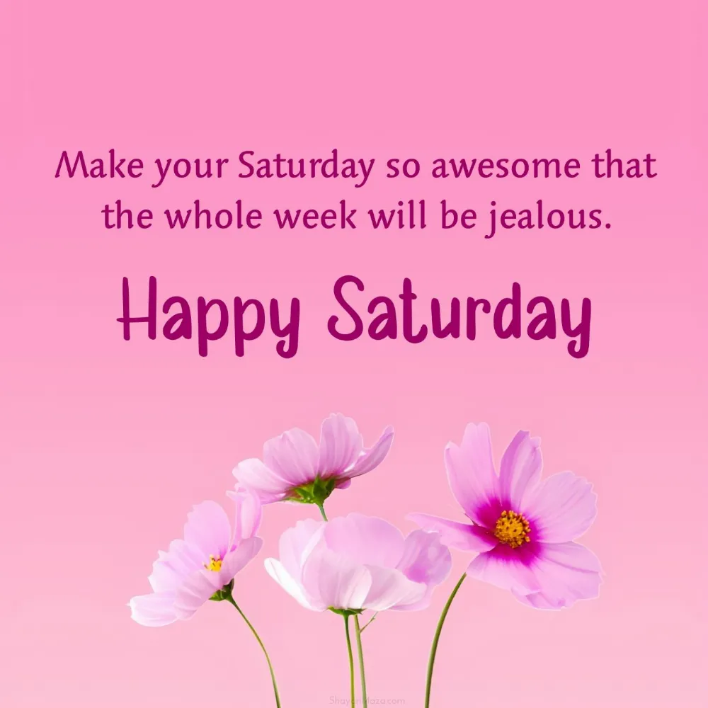 Make your Saturday so awesome that the whole week will be jealous