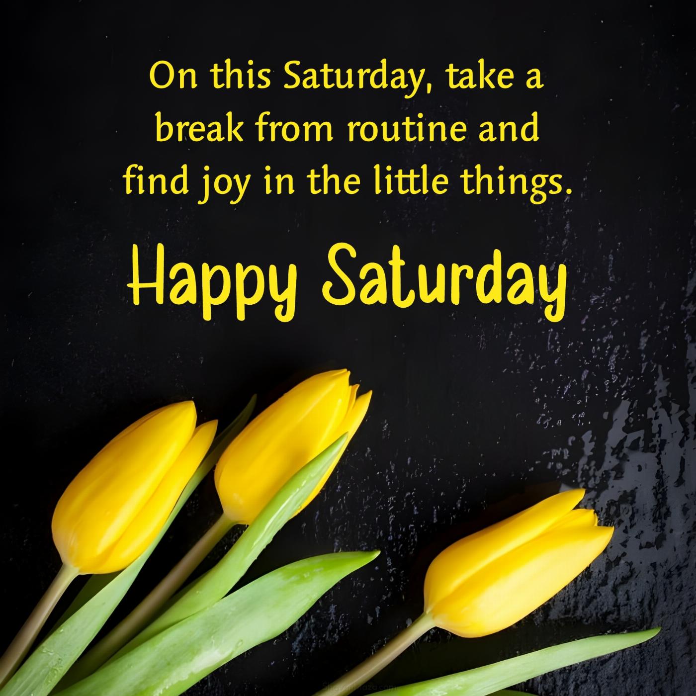 On this Saturday take a break from routine