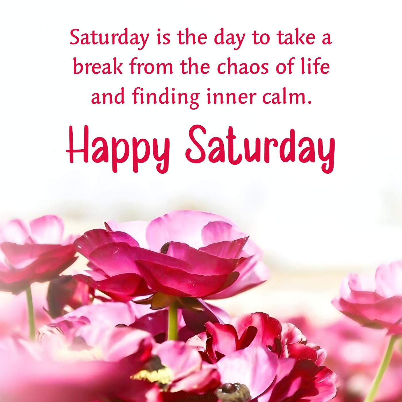 Saturday is the day to take a break from the chaos of life