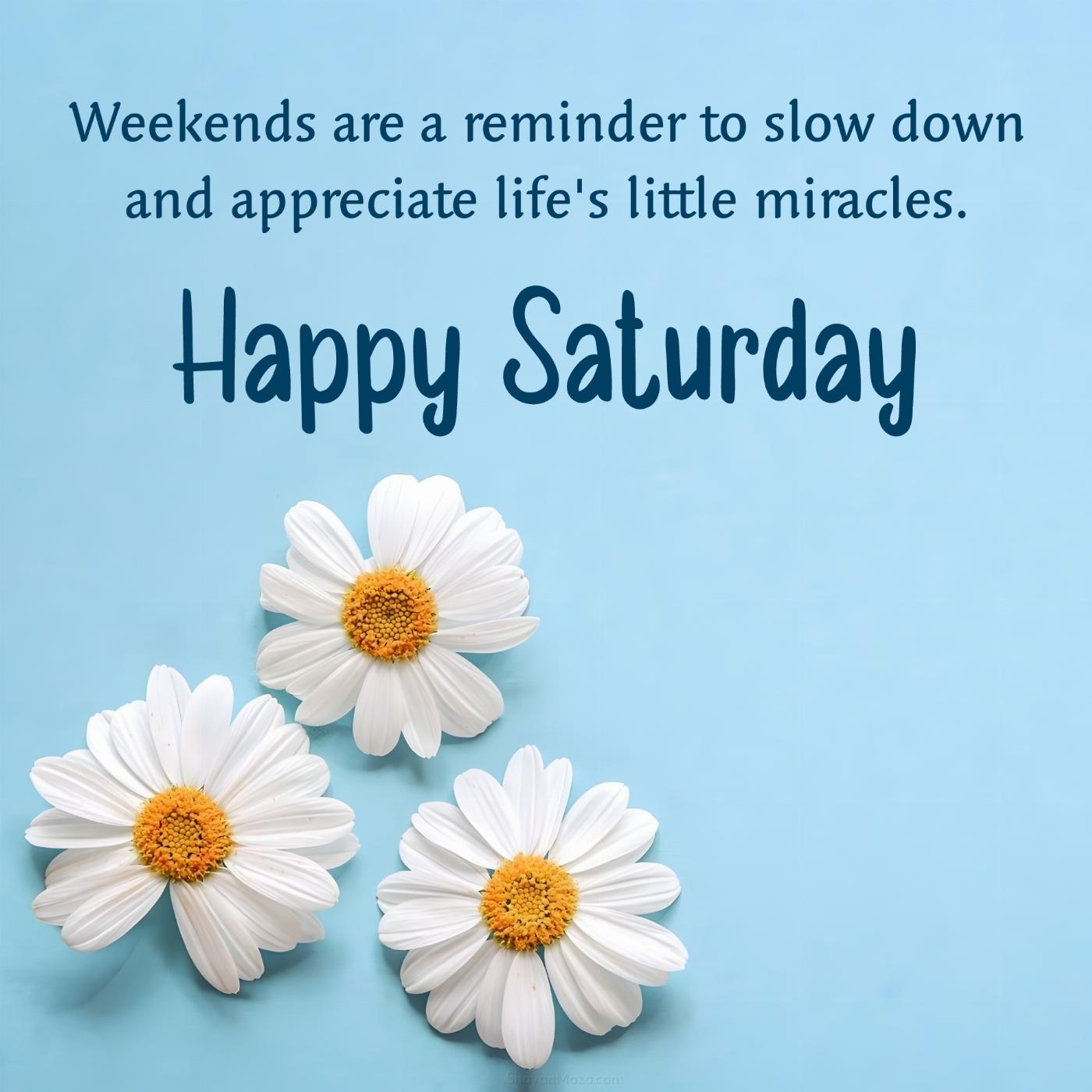 Weekends are a reminder to slow down and appreciate life's little miracles