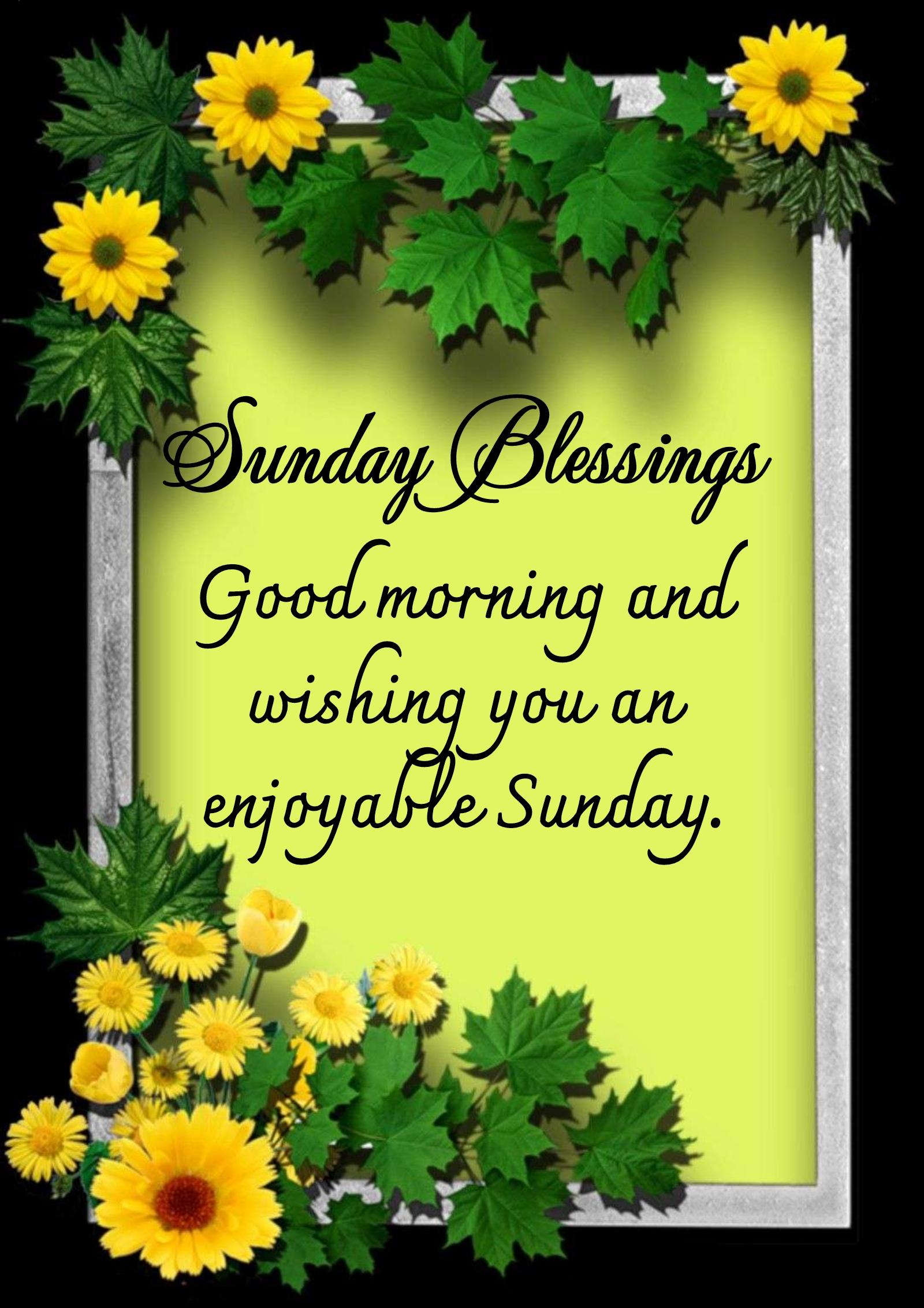 Good morning and wishing you an enjoyable Sunday