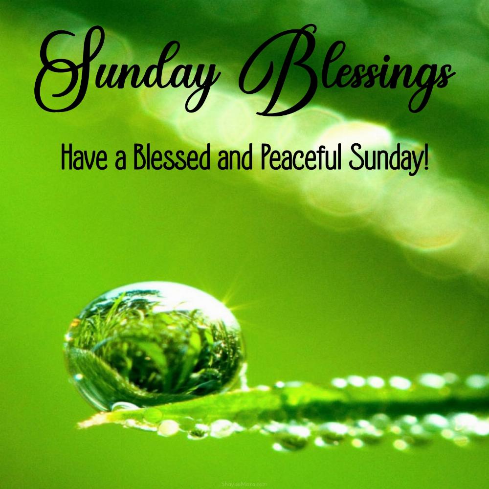 Have a Blessed and Peaceful Sunday!
