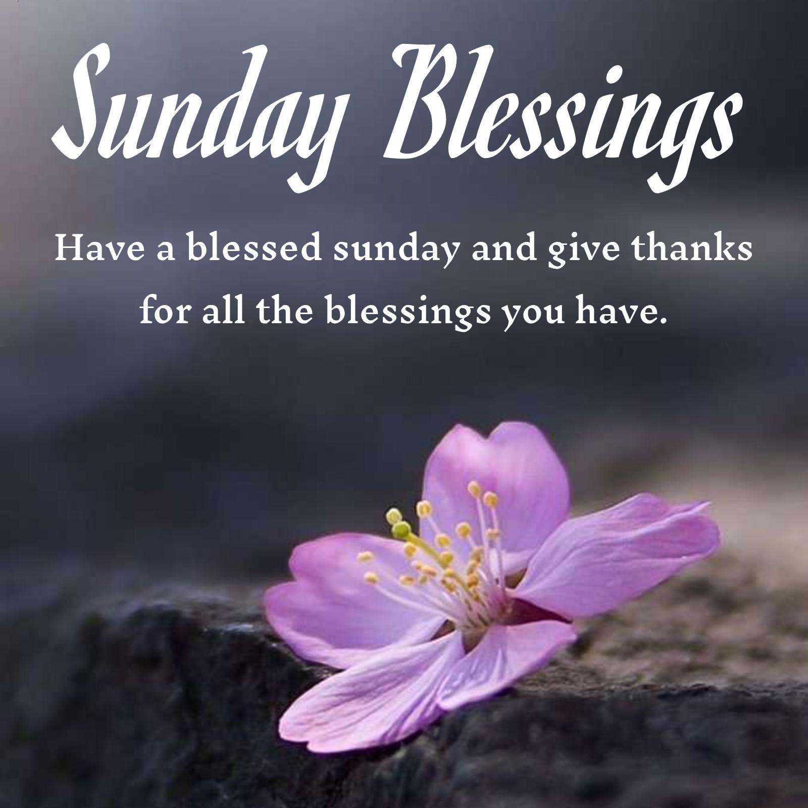 Have a blessed sunday and give thanks for all the blessings you have