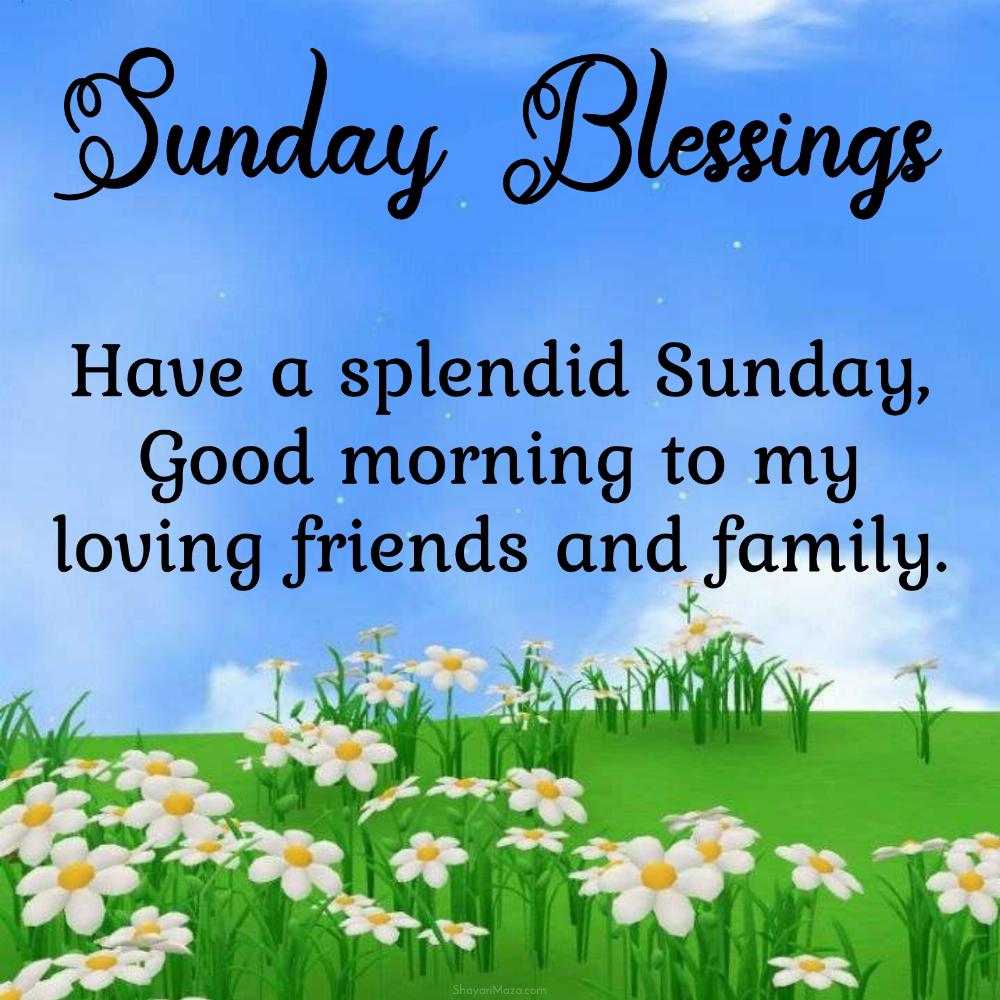 Have a splendid Sunday Good morning to my loving friends and family