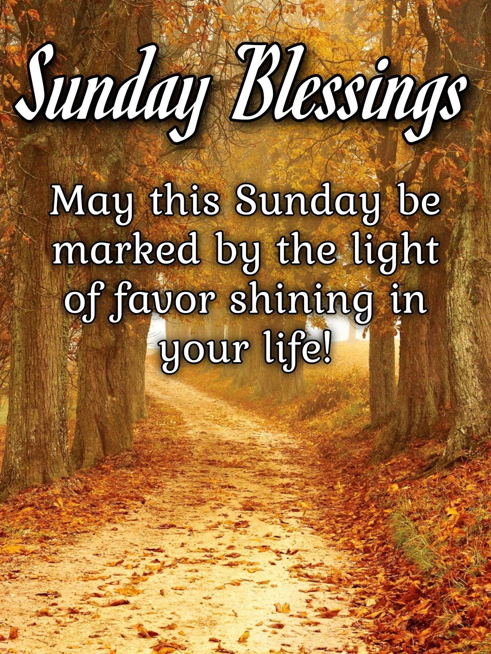 May this Sunday be marked by the light of favor shining in your life!