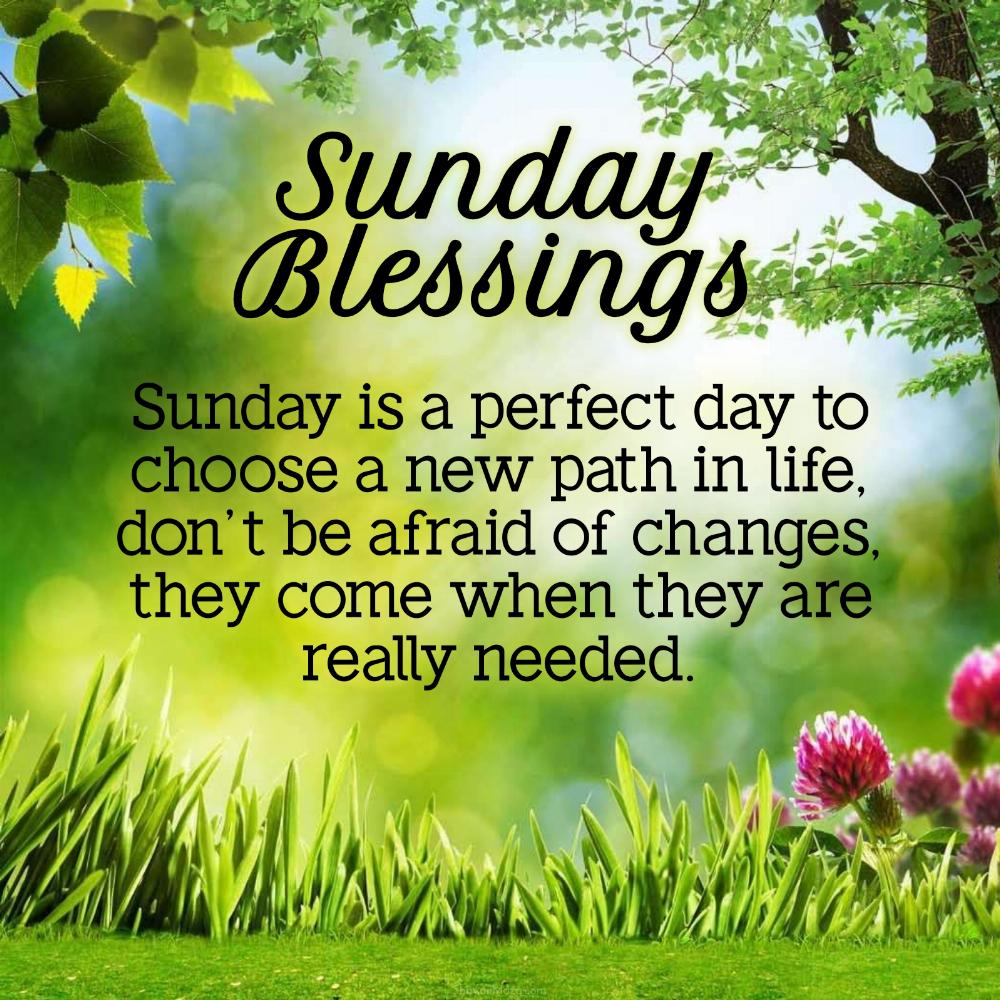 Sunday is a perfect day to choose a new path in life
