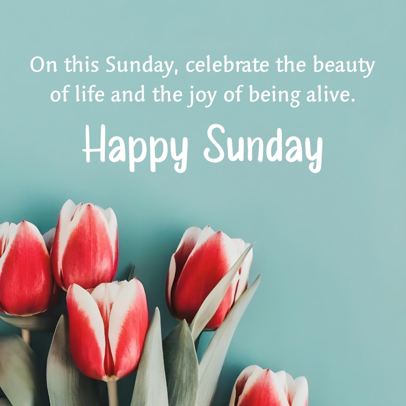 On this Sunday celebrate the beauty of life