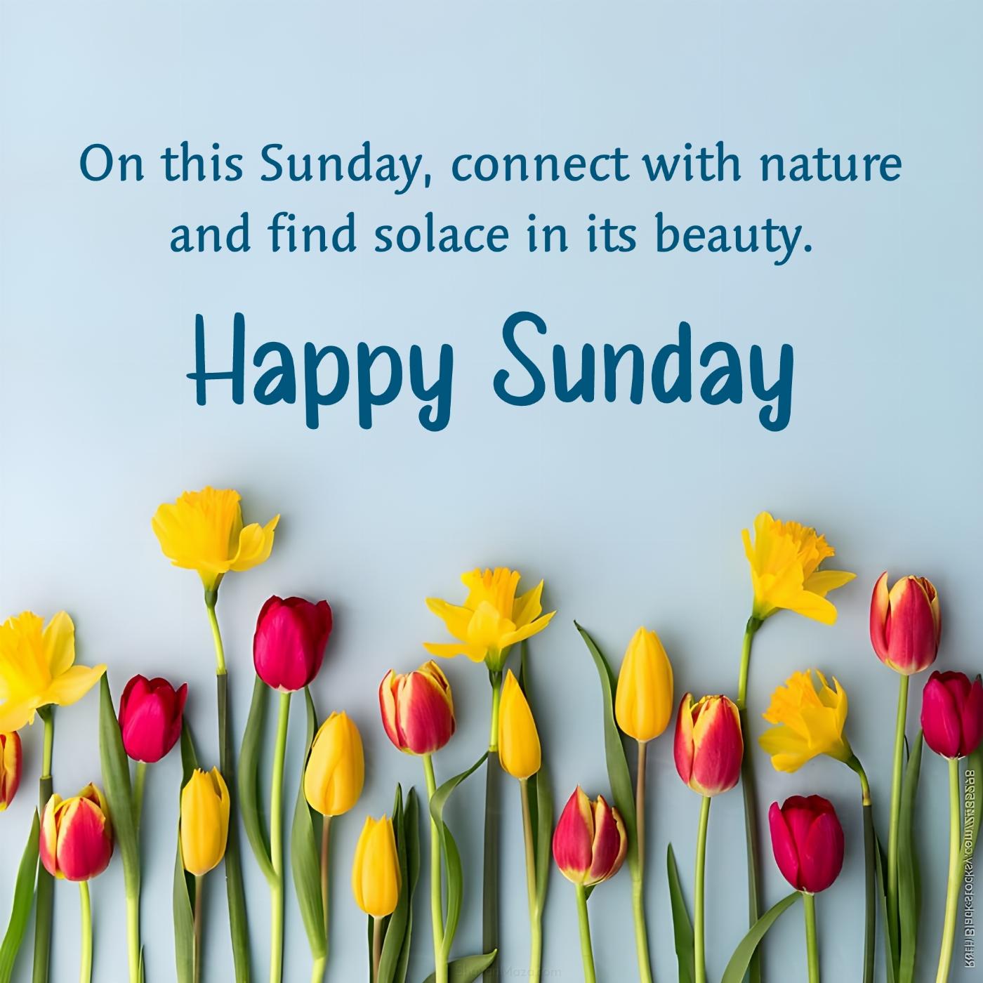 On this Sunday connect with nature and find solace in its beauty