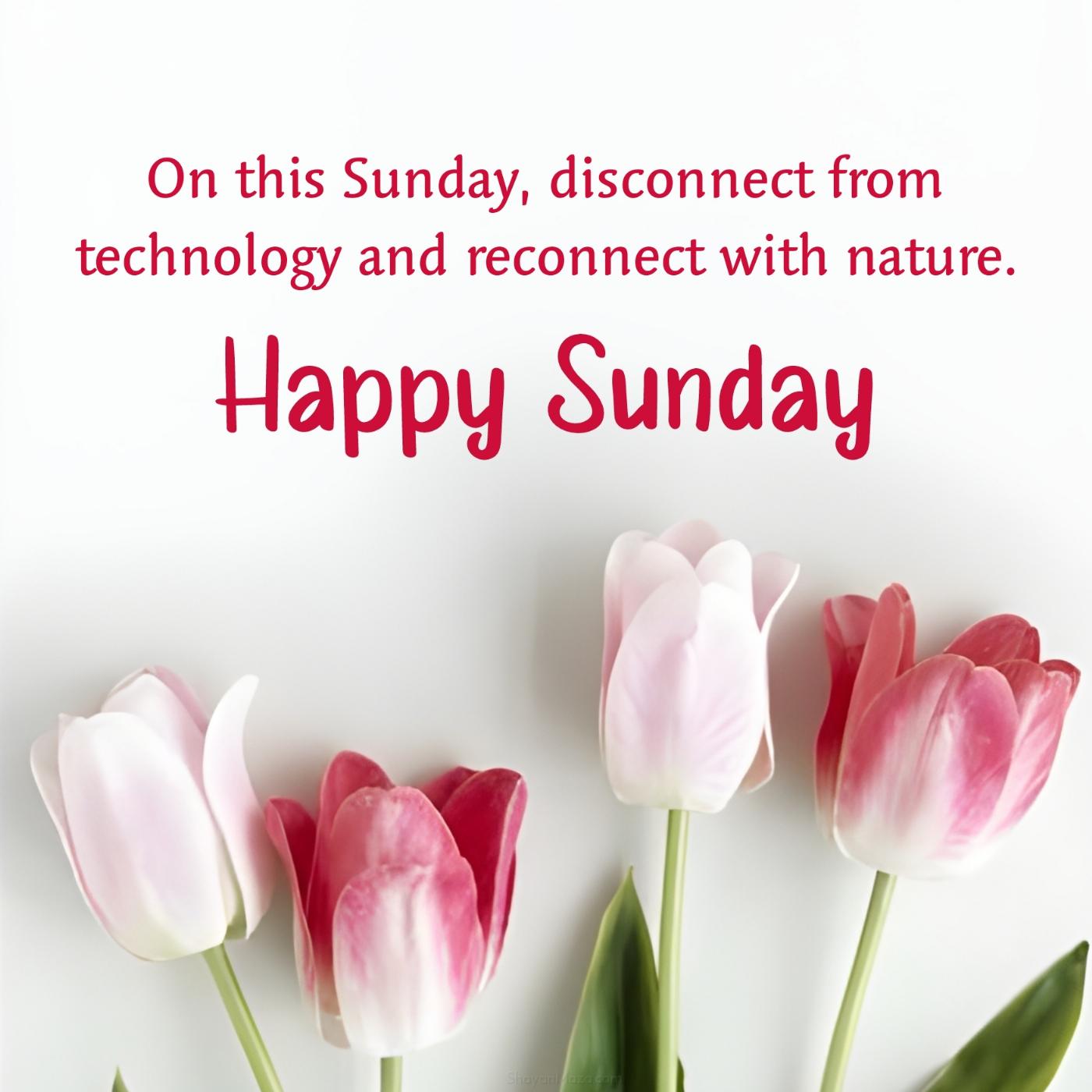 On this Sunday disconnect from technology