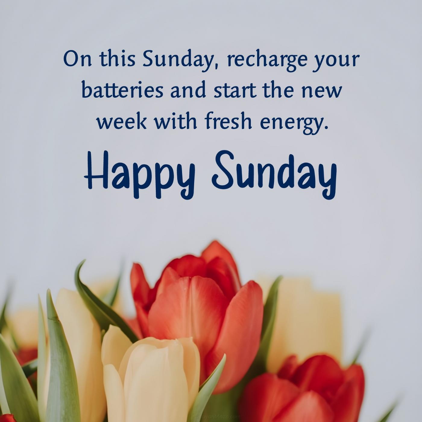 On this Sunday recharge your batteries and start the new week