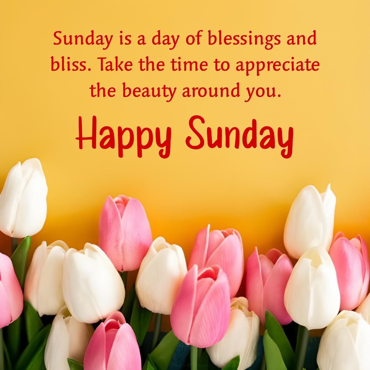 Sunday is a day of blessings and bliss