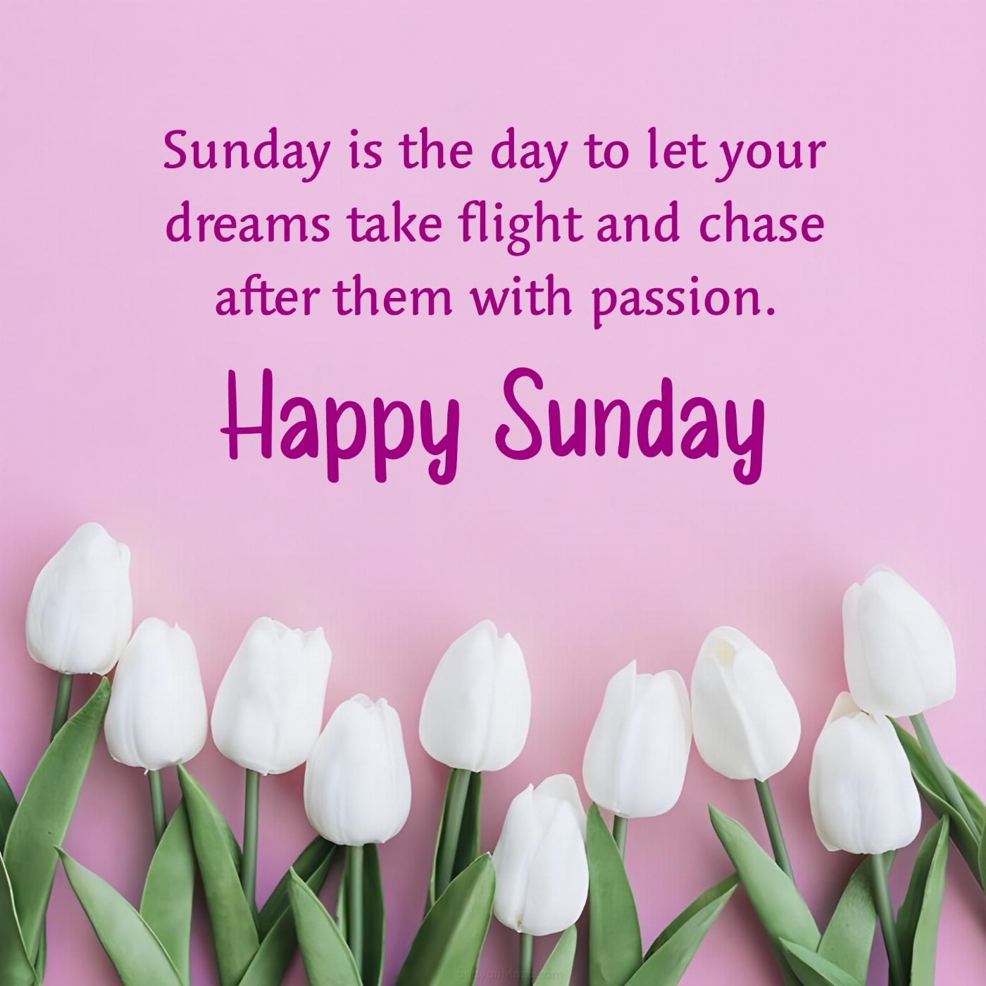 Sunday is the day to let your dreams take flight