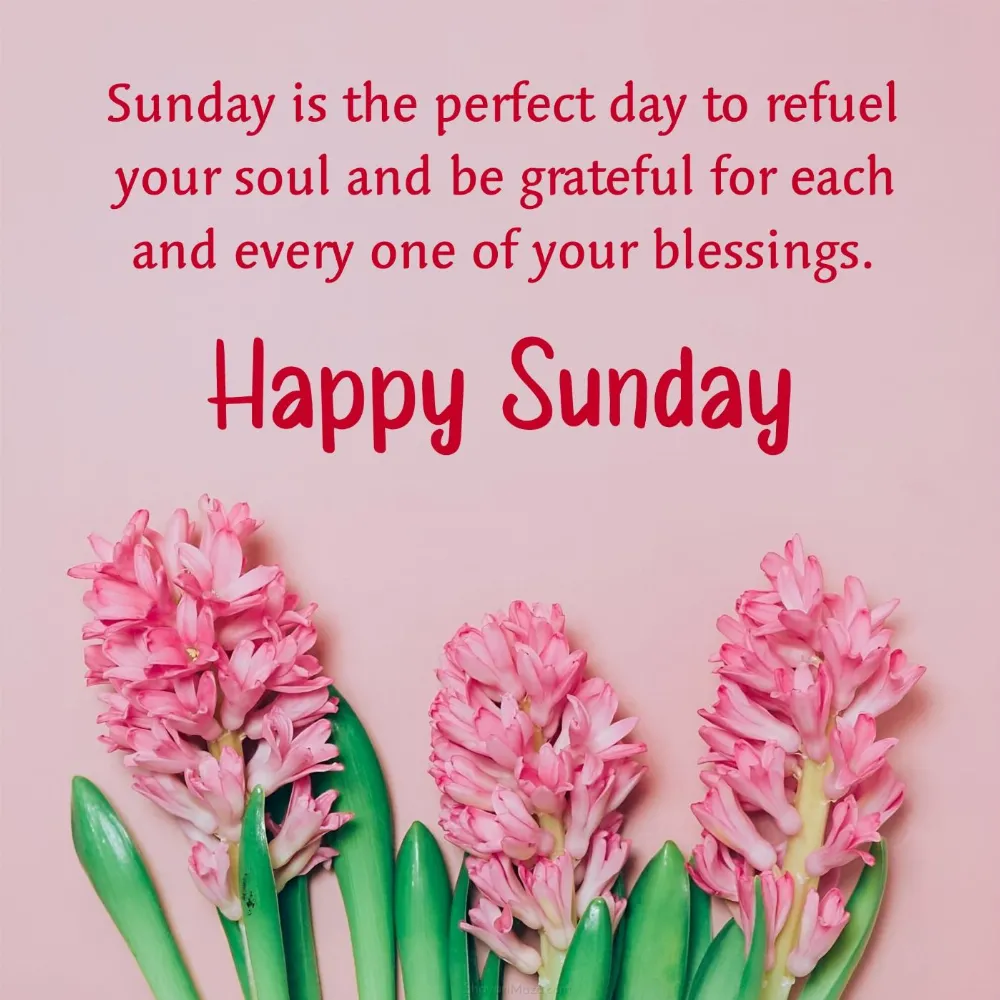 Sunday is the perfect day to refuel your soul and be grateful
