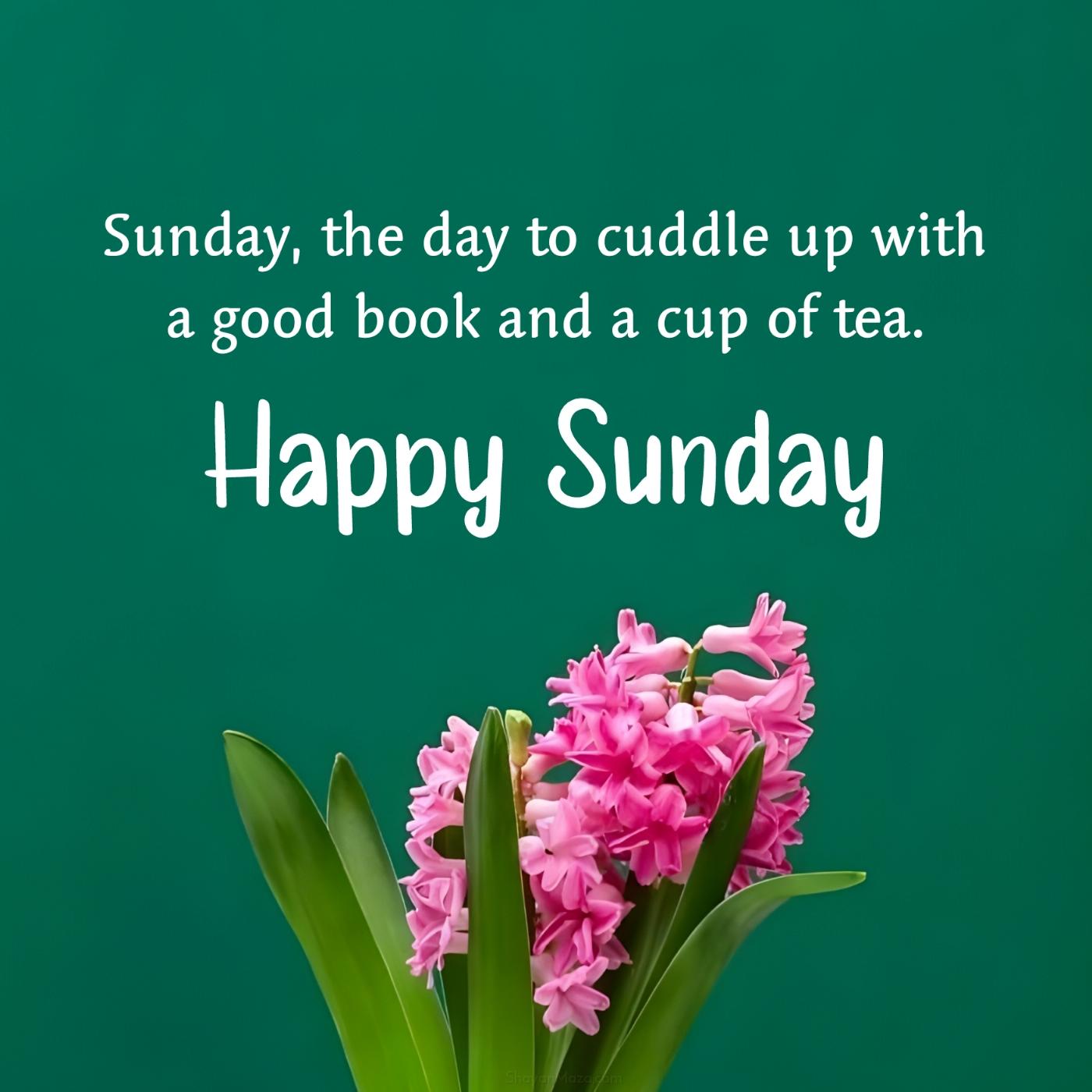 Sunday the day to cuddle up with a good book