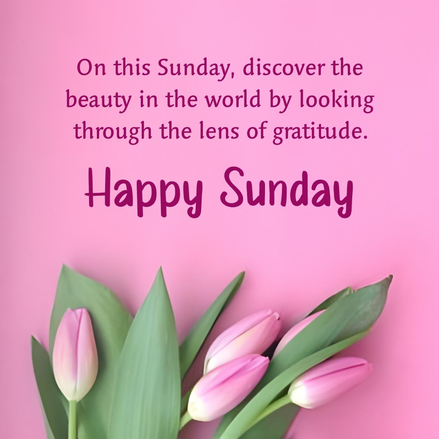 On this Sunday discover the beauty in the world