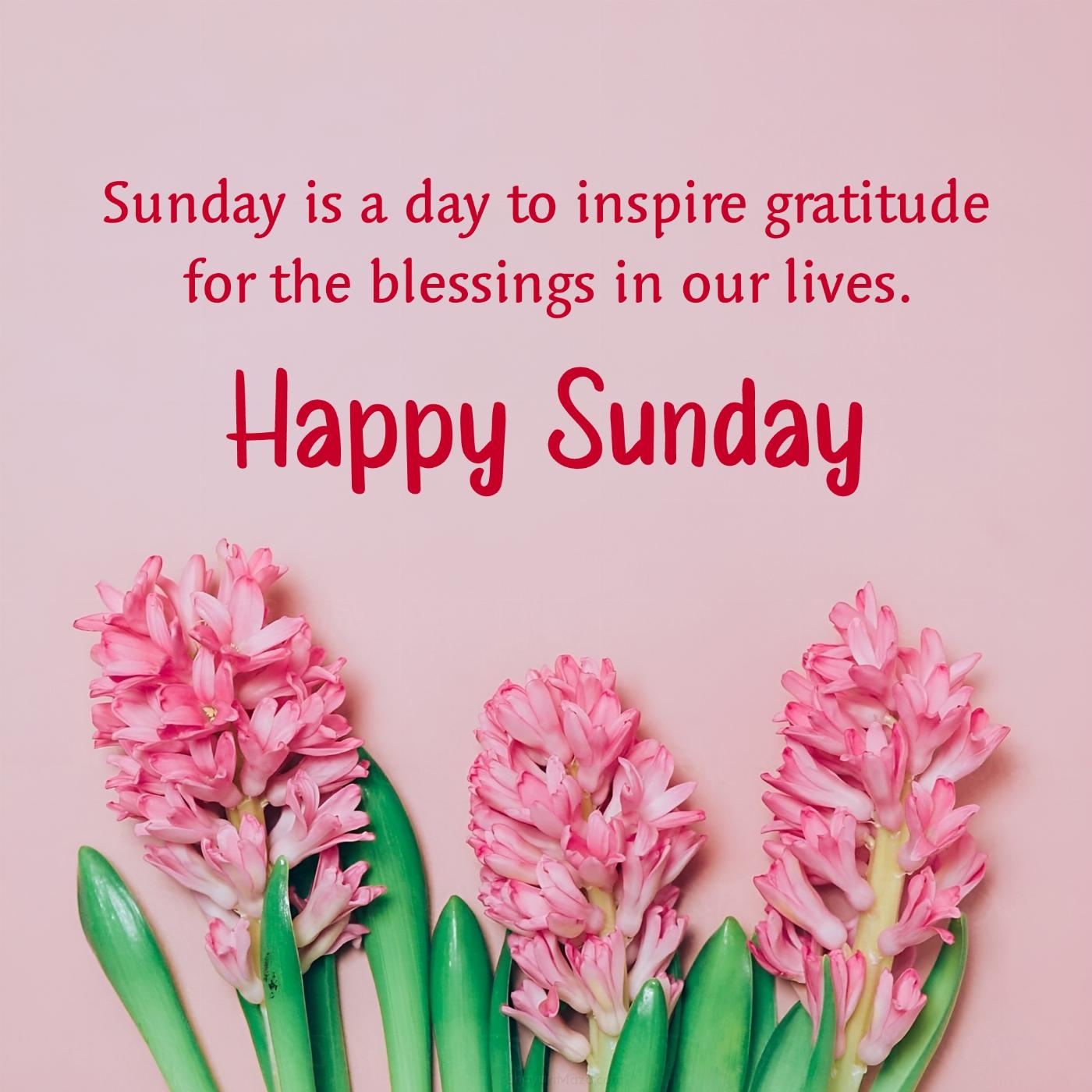 Sunday is a day to inspire gratitude for the blessings in our lives