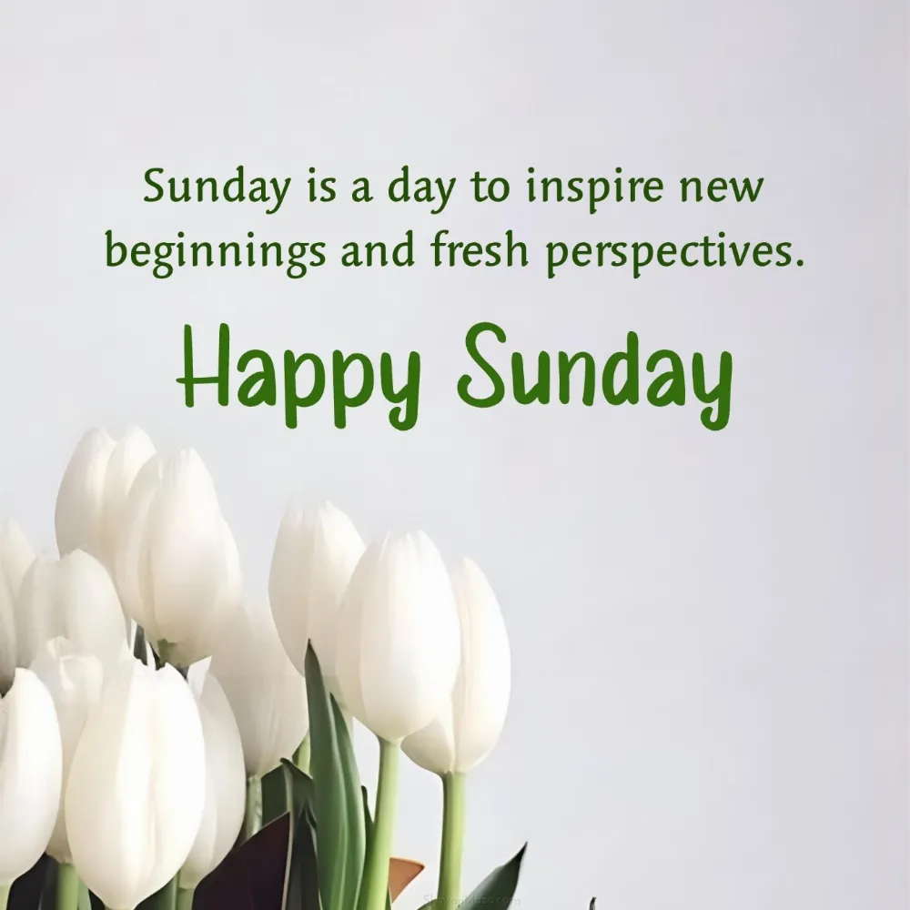 Sunday is a day to inspire new beginnings and fresh perspectives