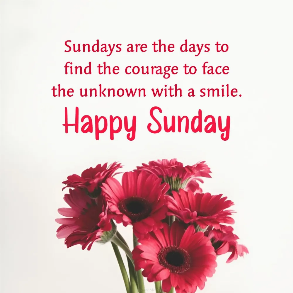 Sundays are the days to find the courage to face the unknown