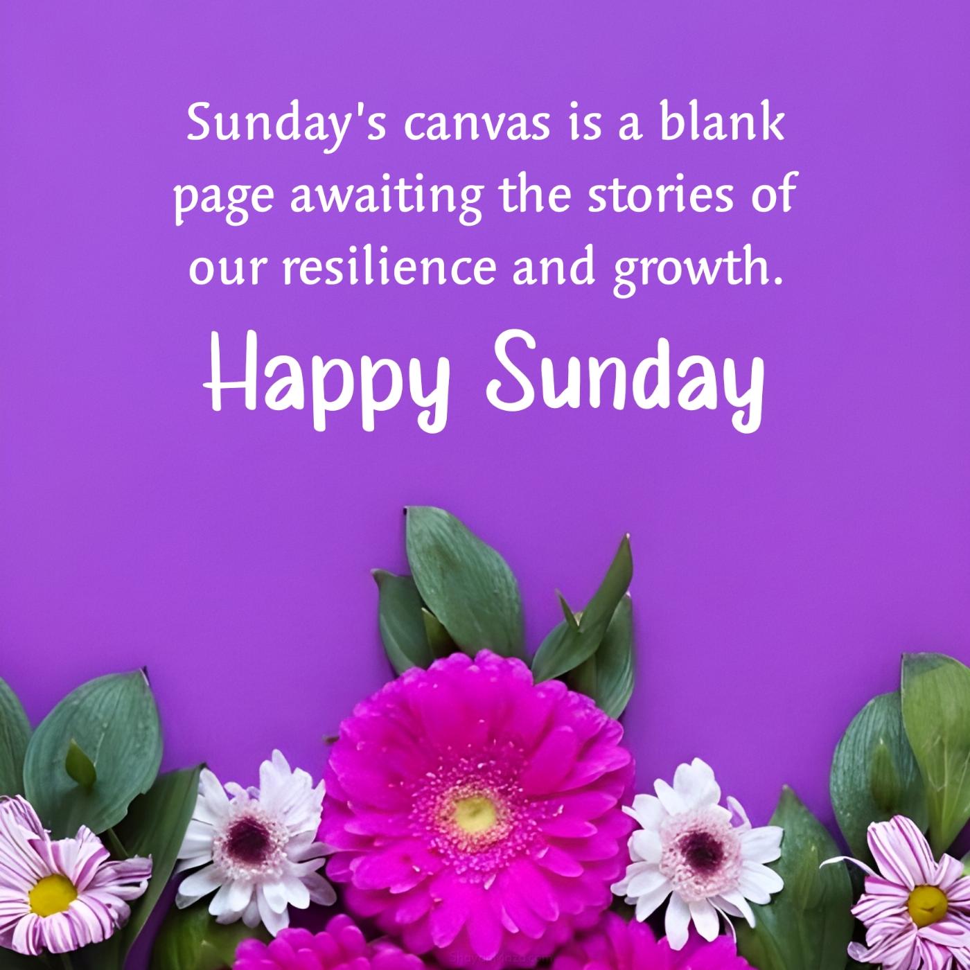 Sundays canvas is a blank page awaiting the stories