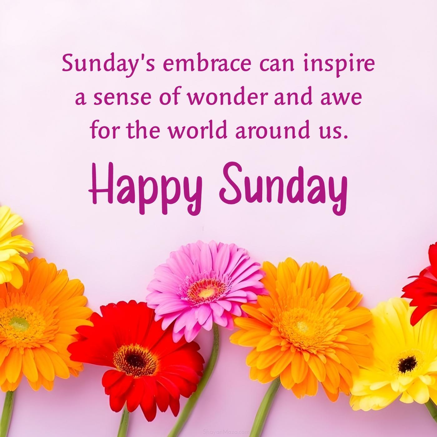 Sundays embrace can inspire a sense of wonder and awe for the world
