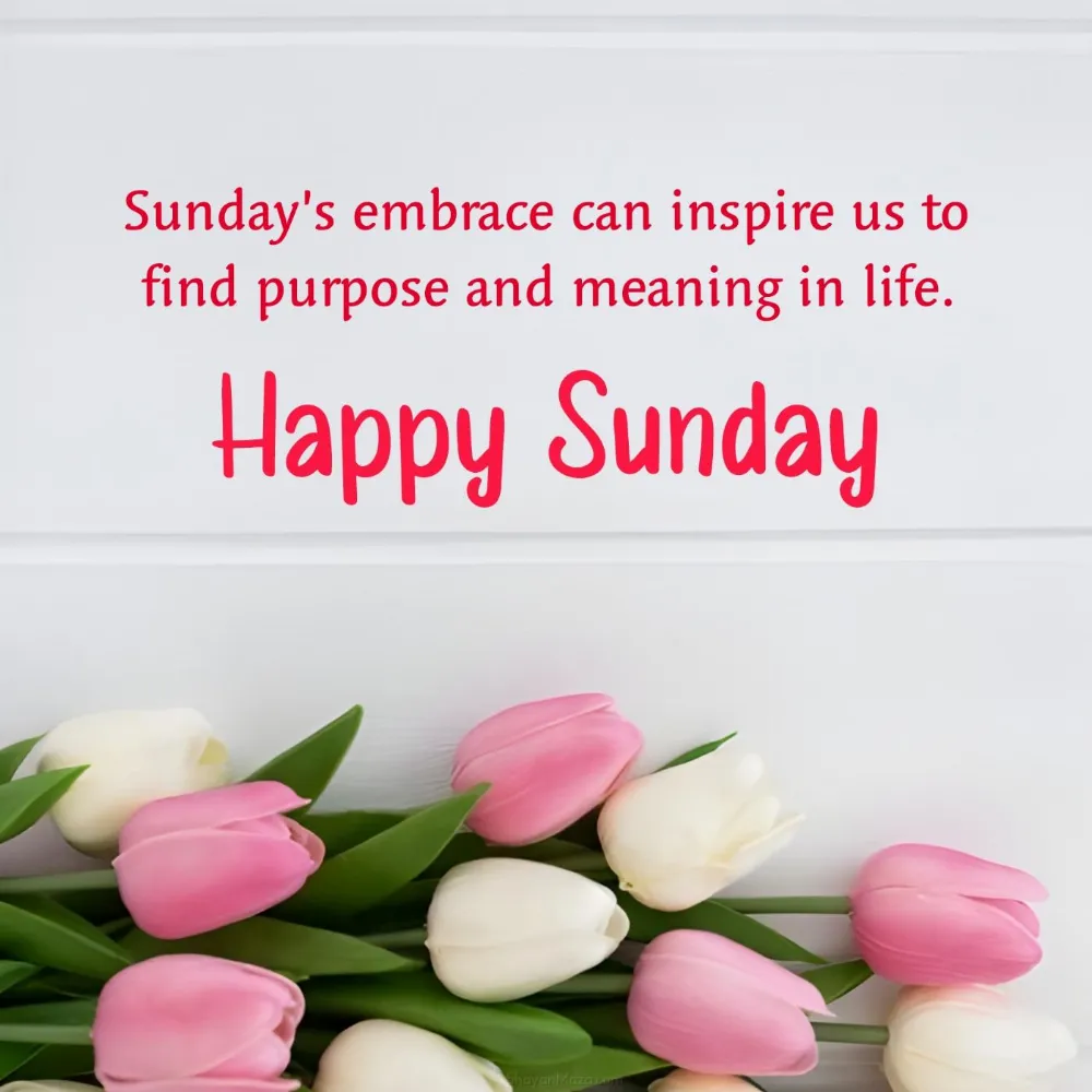 Sundays embrace can inspire us to find purpose and meaning in life