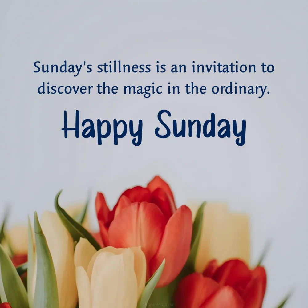 Sundays stillness is an invitation to discover the magic