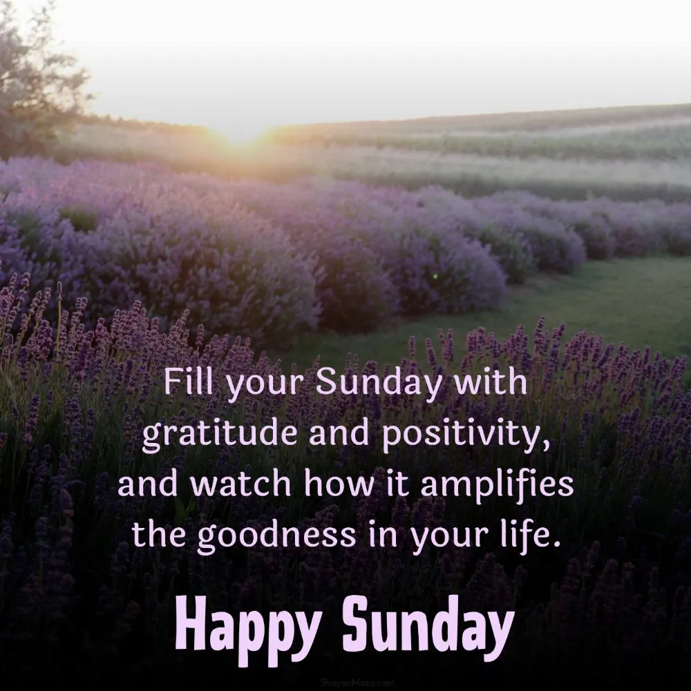Fill your Sunday with gratitude and positivity