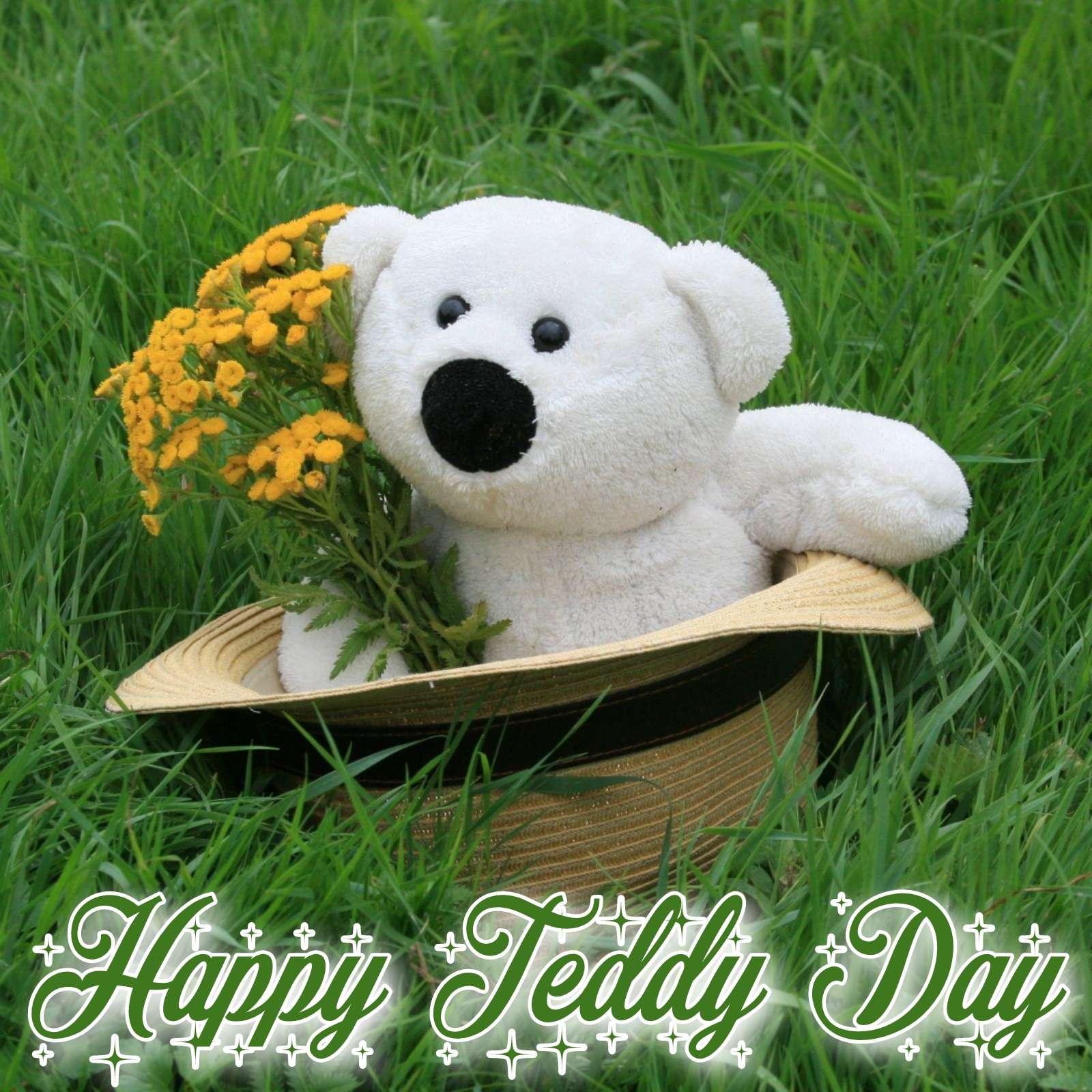 Happy Teddy Day Photo Download