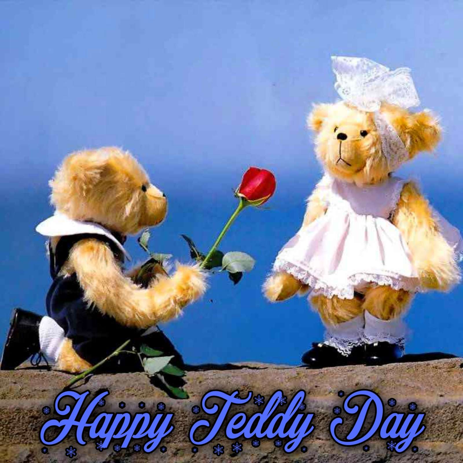 Romantic Love Romantic Teddy Day Images Download