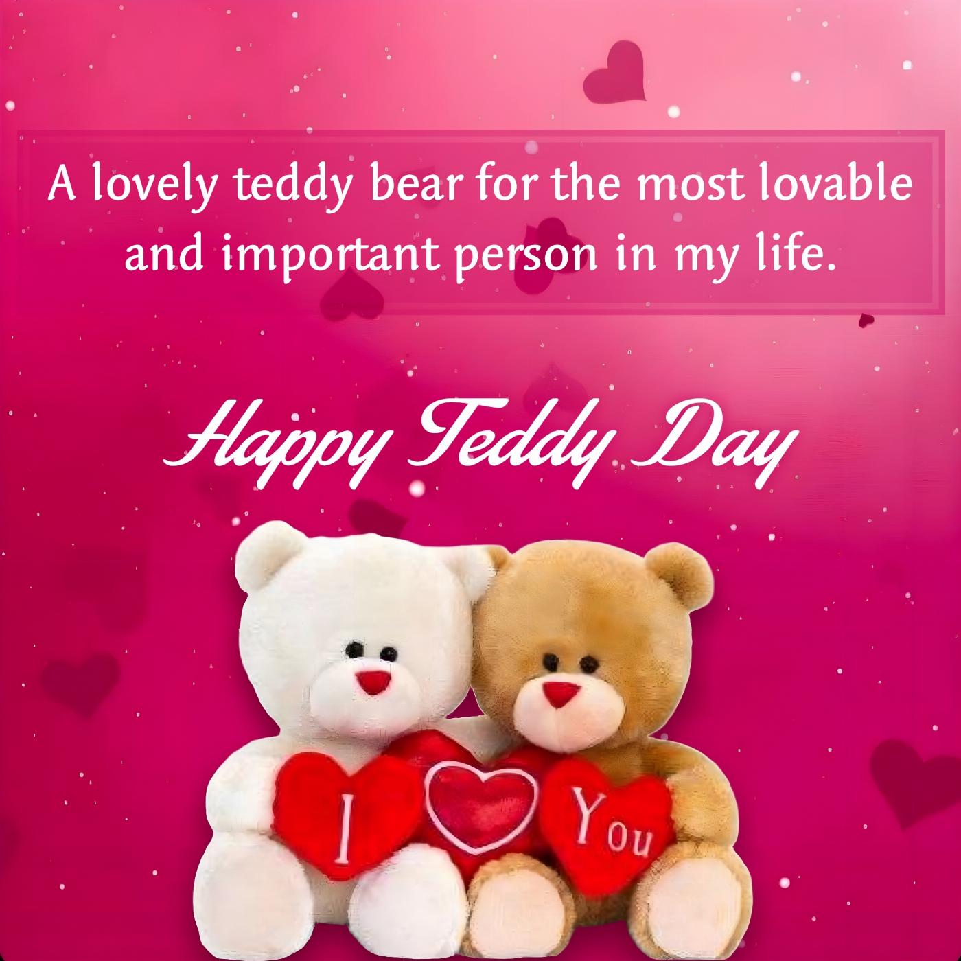 A lovely teddy bear for the most lovable and important person