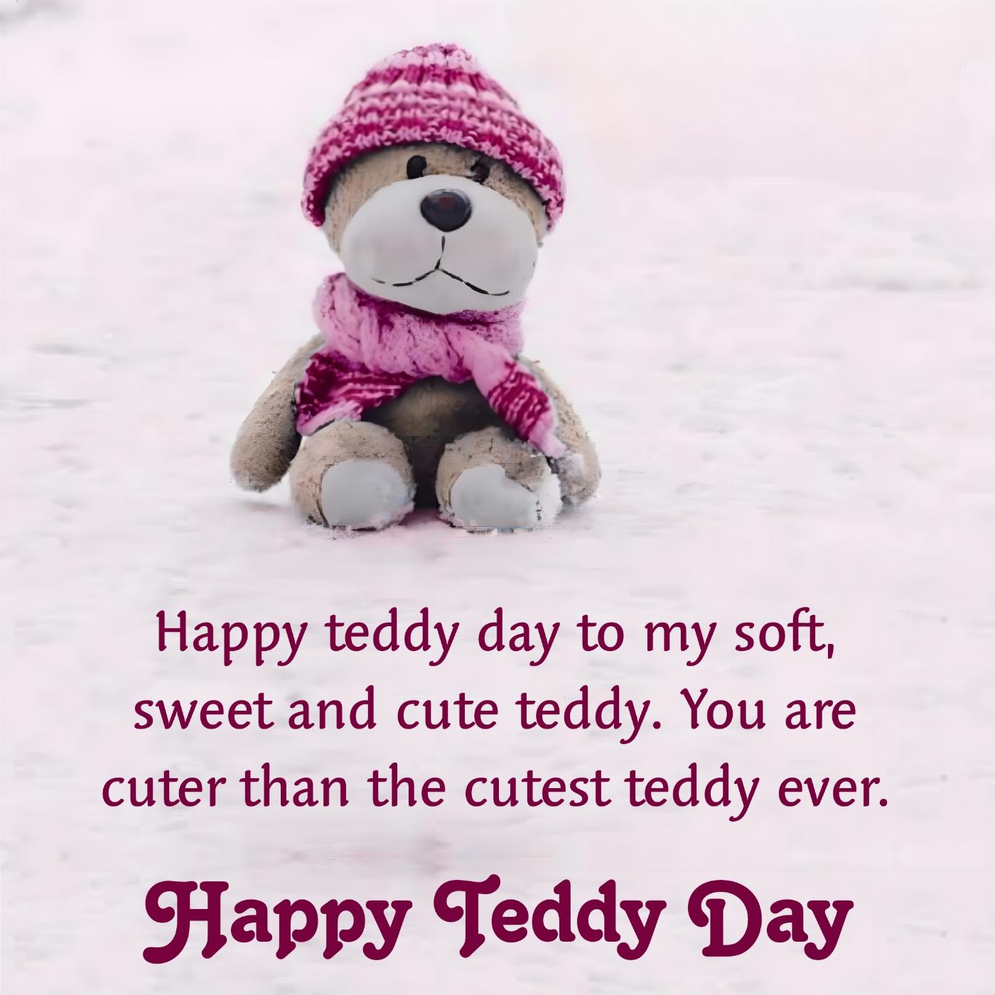 Happy teddy day to my soft sweet and cute teddy