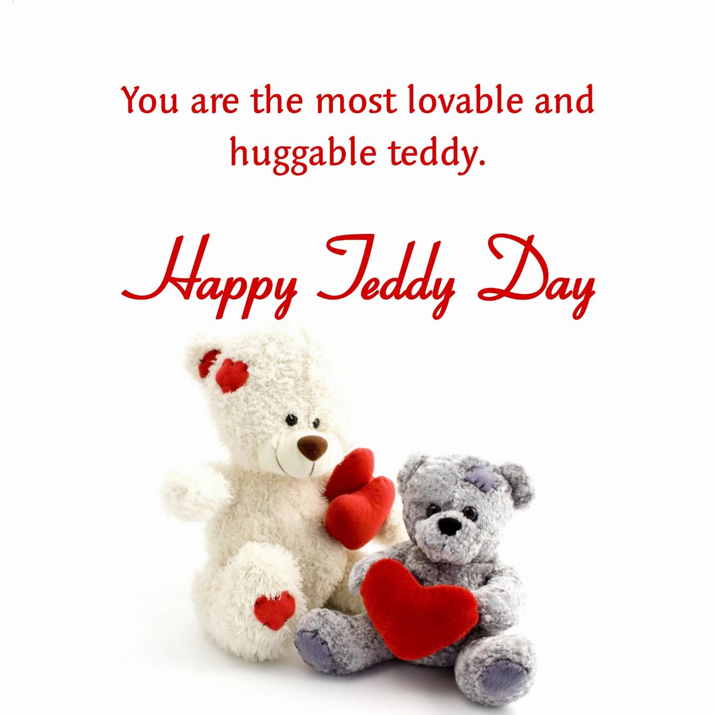 You are the most lovable and huggable teddy