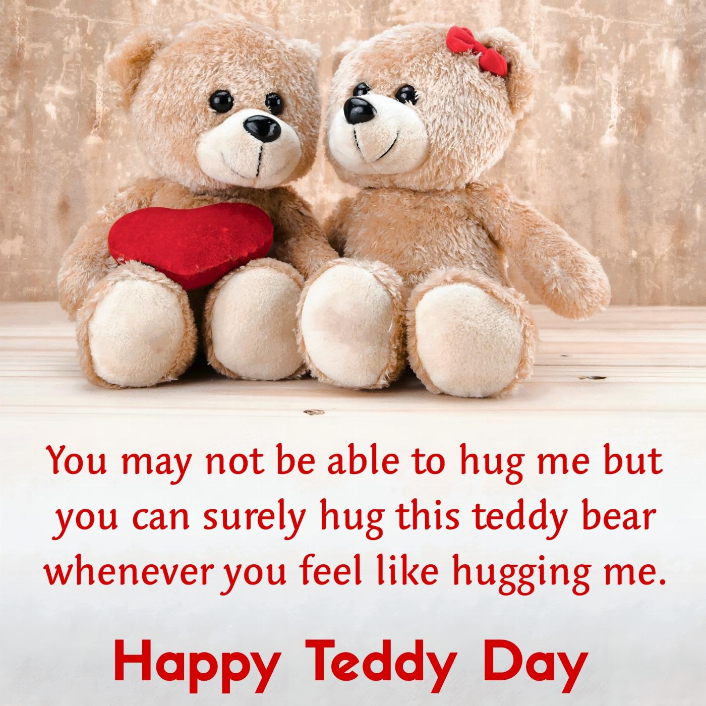 You may not be able to hug me but you can surely hug this teddy