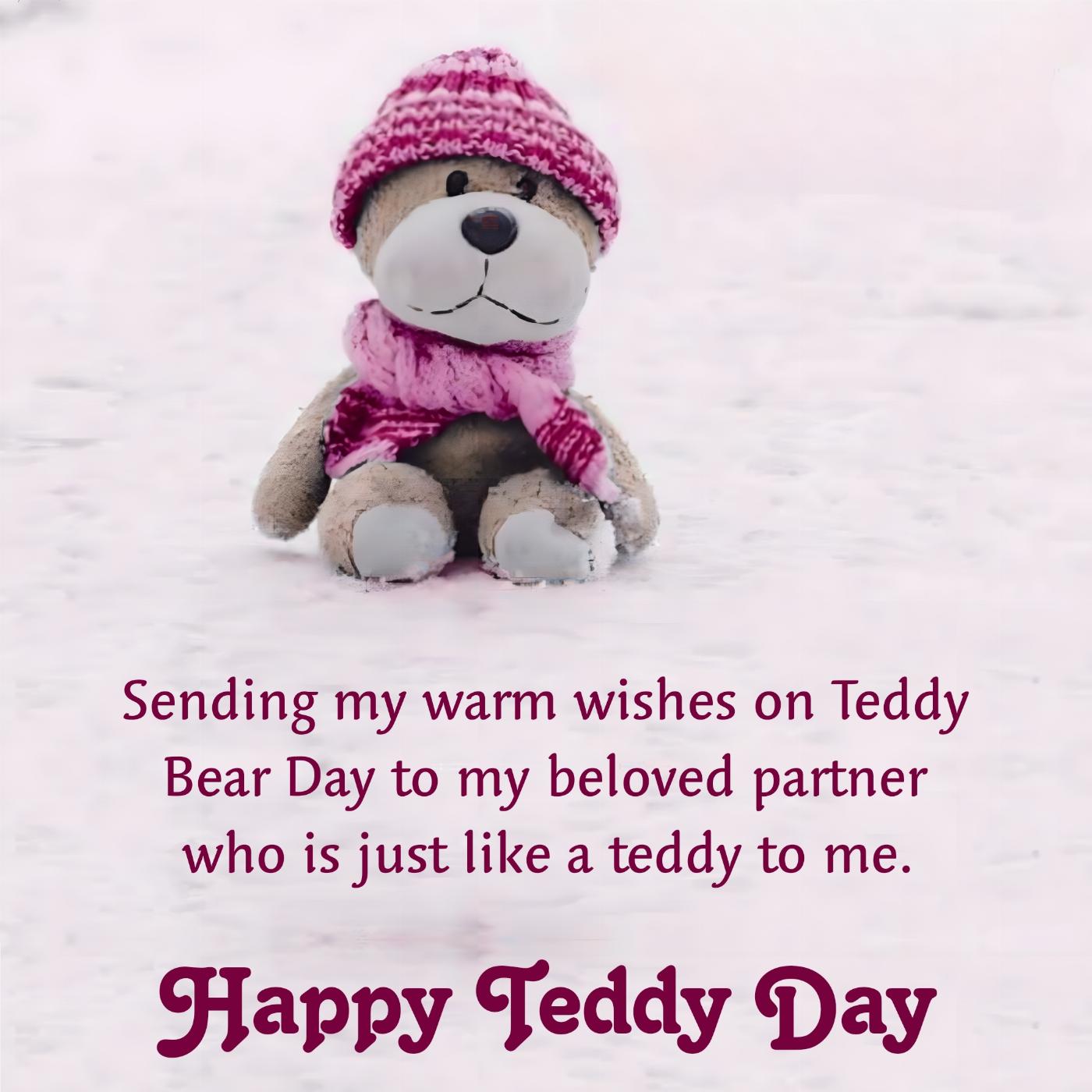 Sending my warm wishes on Teddy Bear Day to my beloved partner