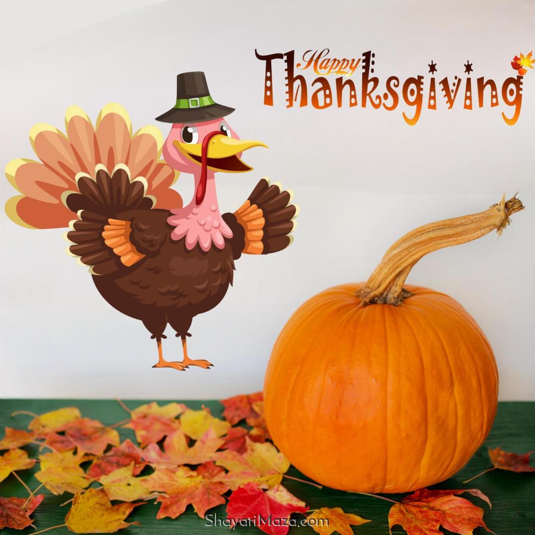 Funny Happy Thanksgiving Images